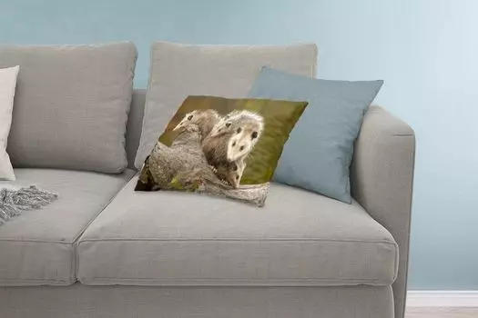 MuchoWow Декоративная подушка Диванная подушка Декоративная подушка для гостиной 60 x 40 см Девственный опоссум с мальчиками - Чехлы на подушки - Декоративные чехлы на подушки - Декоративные наволочки