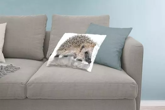 MuchoWow Декоративная подушка Диванная подушка Декоративная подушка для гостиной 60 x 40 см Ежик на белом фоне - Чехлы на подушки - Декоративные чехлы на подушки - Декоративные наволочки