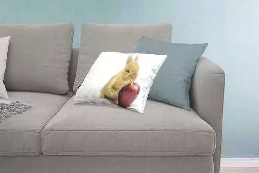 MuchoWow Декоративная подушка Диванная подушка Декоративная подушка для гостиной 60 x 40 см Кролик - Малыш - Яблоко - Чехлы на подушки - Декоративные чехлы на подушки - Декоративные чехлы на подушки