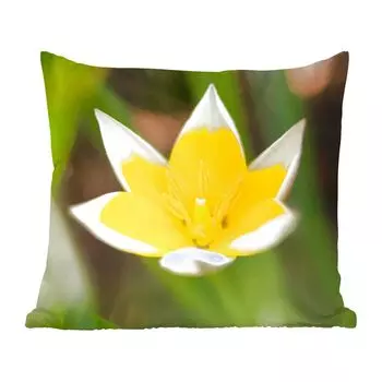 MuchoWow Декоративная подушка Диванная подушка Декоративная подушка для гостиной 50 x 50 см Цветок - Сад - Желтый - Наволочки - Украшение - Спальня