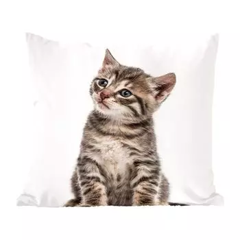 MuchoWow Декоративная подушка Диванная подушка Декоративная подушка для гостиной 60 x 60 см Котенок - Мех - Домашнее животное - Девочки - Дети - Дети - Ребенок - Наволочка - Хлопчатобумажная ткань - Декоративные наволочки