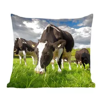 MuchoWow декоративная подушка диванная подушка для гостиной декоративная подушка 60x60 см коровы - природа - трава - животные