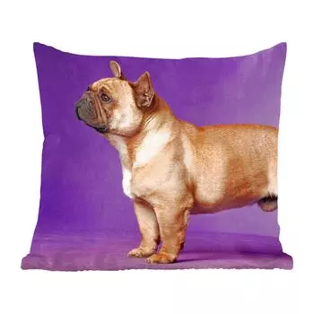MuchoWow декоративная подушка диванная подушка для гостиной декоративная подушка 40 x 40 см Французский бульдог - коричневый - фиолетовый - чехлы на диванные подушки - без наполнителя