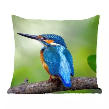 MuchoWow декоративная подушка диванная подушка для гостиной декоративная подушка 40х40 см зимородок - ветка - синий - чехлы на диванные подушки - без наполнителя