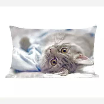 MuchoWow декоративная подушка диванная подушка для гостиной декоративная подушка 50 x 30 см кошка - животное - макро - чехлы на диванные подушки - без наполнителя