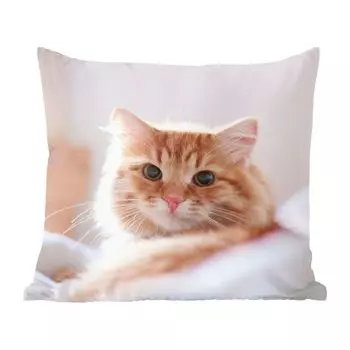 MuchoWow декоративная подушка диванная подушка гостиная декоративная подушка 40х40 см кот - красный - кровать - девочки - дети - мальчики - чехлы на диванные подушки - без наполнителя