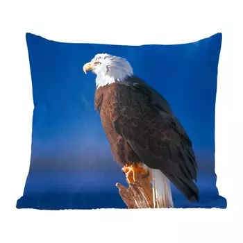 MuchoWow декоративная подушка диванная подушка гостиная декоративная подушка 40x40 см орел - крупный план - ветка - чехлы на диванные подушки - без наполнителя