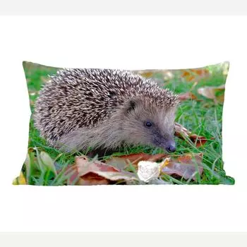 MuchoWow декоративная подушка диванная подушка гостиная декоративная подушка 50х30 см ёжик в траве - чехлы на диванные подушки - без наполнителя