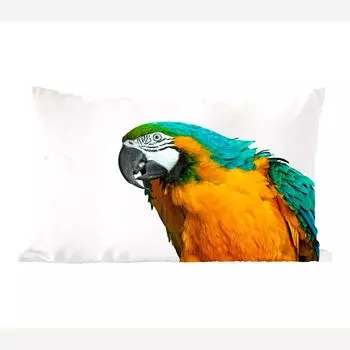 MuchoWow декоративная подушка диванная подушка гостиная декоративная подушка 50х30 см попугай - птица - перья - портрет - чехлы на диванные подушки - без наполнителя