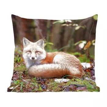 MuchoWow декоративная подушка диванная подушка гостиная декоративная подушка 40х40 см лиса - лес - животное - чехлы на диванные подушки - без наполнителя