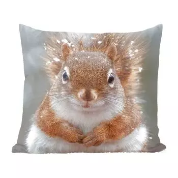MuchoWow декоративная подушка диванная подушка гостиная декоративная подушка 40х40 см белка - грызун - снежинка - зима - чехлы на диванные подушки - без наполнителя