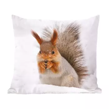 MuchoWow декоративная подушка диванная подушка гостиная декоративная подушка 40х40 см белка - животное - снег - чехлы на диванные подушки - без наполнителя