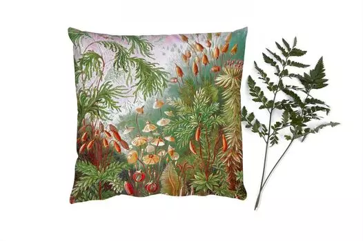 MuchoWow Декоративная подушка Диванная подушка Гостиная Декоративная подушка 40 x 40 см Старые мастера - Искусство - Muscinae - Haeckel - Чехлы на диванные подушки - без наполнителя