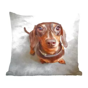 MuchoWow декоративная подушка диванная подушка гостиная декоративная подушка 40х40 см крупный план головы таксы - чехлы на диванные подушки - без наполнителя