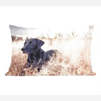 MuchoWow декоративная подушка диванная подушка гостиная декоративная подушка 50х30 см Лабрадор-ретривер лежит в высокой траве - чехлы на диванные подушки - без наполнителя