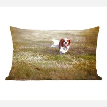 MuchoWow декоративная подушка диванная подушка гостиная декоративная подушка 50х30 см Сука кавалер-кинг-чарльз-спаниеля в траве - чехлы на диванные подушки - без наполнителя