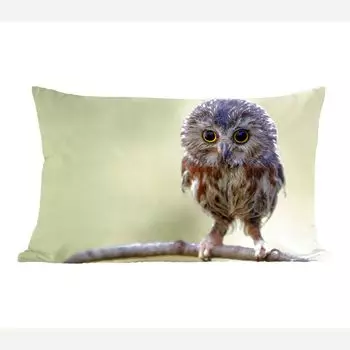 MuchoWow декоративная подушка диванная подушка гостиная декоративная подушка 50x30 см сова - птица - лес - чехлы на диванные подушки - без наполнителя
