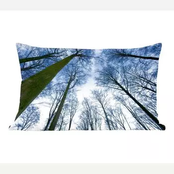 MuchoWow Forest - буковый лес в зимнем голубом небе - 50x30 см - чехлы на диванные подушки - без наполнителя