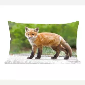 MuchoWow Fox - Foxes Young - 50x30 см - чехлы на диванные подушки - без наполнителя