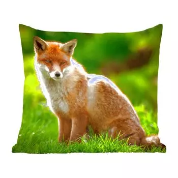 MuchoWow Fox - Red Fox в солнечном свете - 60x60 см - чехол на подушку - хлопчатобумажная ткань - декоративные чехлы на подушки