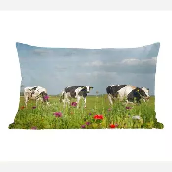 MuchoWow Friesian Cow - Три фризские коровы на лугу в Нидерландах - 50x30 см - Чехлы на диванные подушки - без наполнителя