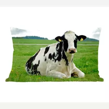 MuchoWow Фризская корова - Отдыхающая голштинская корова на зеленом пастбище - 60x40 см - Чехлы для подушек - Декоративные чехлы для подушек - Декоративные чехлы для подушек