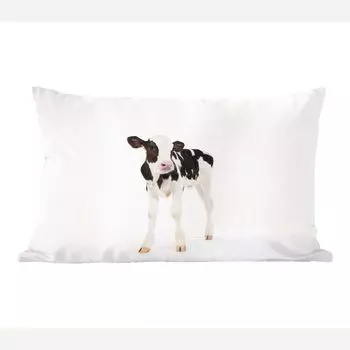 MuchoWow Фризская корова - теленок голштинской коровы на белом фоне - 60x40 см - чехлы на подушки - декоративные чехлы на подушки - декоративные чехлы на подушки