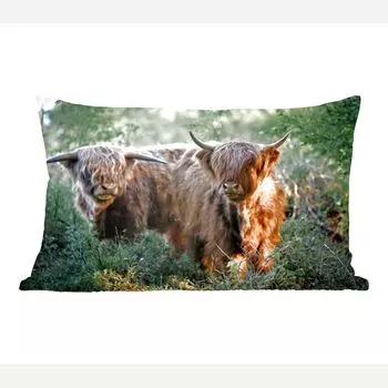 MuchoWow Хайлендский скот - Хайлендский скот с мокрой мордой в лесу - 50х30 см - чехлы для диванных подушек - без наполнителя