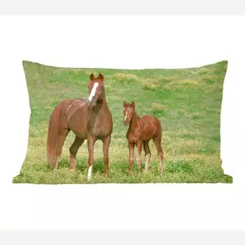 MuchoWow Horses - Коричневая лошадь с маленьким размером - 60x40 см - Чехлы на подушки - Декоративные чехлы на подушки - Декоративные чехлы на подушки