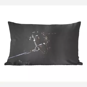 MuchoWow Horses - Портрет лошади с длинной гривой на черном фоне - 50x30 см - чехлы на диванные подушки - без наполнителя