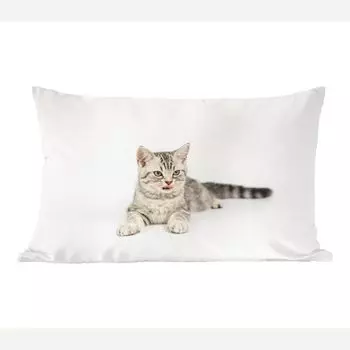 MuchoWow кошки - котята с белым фоном - 60х40 см - чехлы на подушки - чехлы декоративные - чехлы декоративные