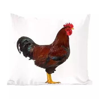 MuchoWow курица - фотопринт с портретом петуха - 60x60 см - чехол на подушку - хлопчатобумажная ткань - декоративные чехлы на подушки