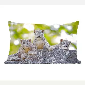 MuchoWow Leopard - Фотопечать «Три детеныша леопарда» - 50x30 см - чехлы на диванные подушки - без наполнителя