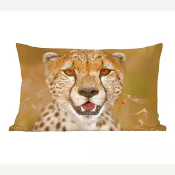 MuchoWow Leopard - портрет молодого леопарда - 50x30 см - чехлы на диванные подушки - без наполнителя