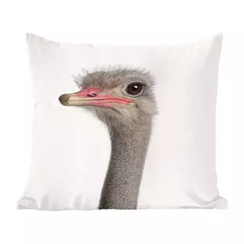 MuchoWow Магазин анималистических принтов - Страус - Портретный принт с животными для детской комнаты - 60x60 см - Чехол на подушку - Хлопчатобумажная ткань - Декоративные наволочки