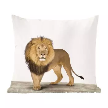 MuchoWow Магазин животных принтов - Детский сад с принтом льва и животными - 60x60 см - чехол на подушку - хлопчатобумажная ткань - декоративные чехлы на подушки