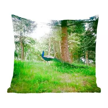 MuchoWow Peacock - Павлин в слабом солнечном свете - 45x45 см - чехлы на подушки - чехлы декоративные - чехлы декоративные