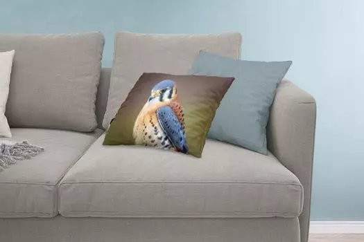 MuchoWow Predators - Американская пустельга крупным планом - 60x40 см - Чехлы на подушки - Декоративные наволочки - Декоративные наволочки