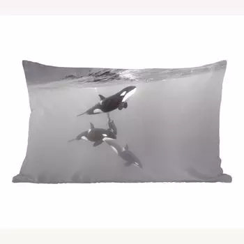 MuchoWow Predators - Плавающие косатки - черно-белые - 50x30 см - чехлы на диванные подушки - без наполнителя