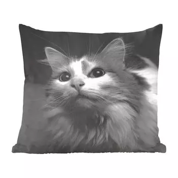 MuchoWow Профили животных в черно-белом цвете - Профиль животных Кот в черно-белом цвете - 50x50 см - Чехлы на подушки - Украшение - Спальня