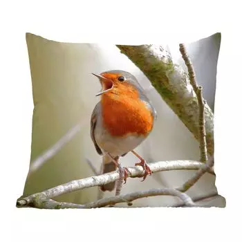 MuchoWow Робин - Робин на ветке - 60x60 см - чехол на подушку - хлопчатобумажная ткань - декоративные чехлы на подушки
