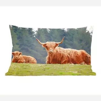 MuchoWow Scottish Highlander - Мать и теленок Scottish Highlander - 50x30 см - чехлы на диванные подушки - без наполнителя