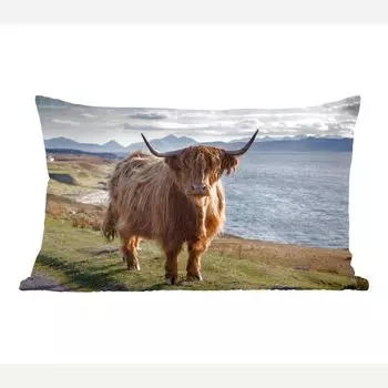 MuchoWow Scottish Highlanders - Горный скот на побережье - 60x40 см - чехлы для подушек - декоративные чехлы для подушек - декоративные чехлы для подушек