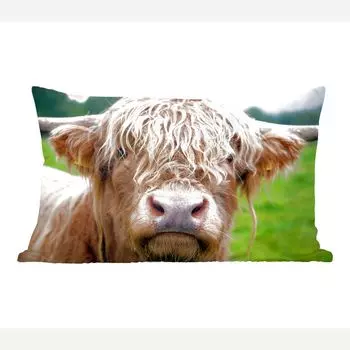 MuchoWow Scottish Highlanders - Волосатый шотландский горец - 50x30 см - чехлы на диванные подушки - без наполнителя