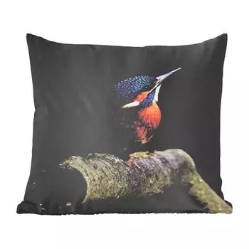 MuchoWow Животные - Портрет зимородка на черном фоне - 45х45 см - Чехлы на подушки - Чехлы декоративные - Чехлы декоративные