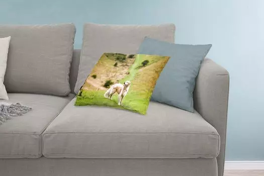 MuchoWow Золотистый ретривер - Красивая фотография золотистого ретривера - 60x40 см - чехлы на подушки - декоративные чехлы на подушки - декоративные чехлы на подушки