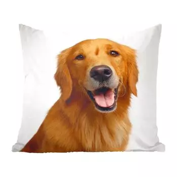 MuchoWow Золотистый ретривер - портретное фото золотисто-коричневого золотистого ретривера - 50x50 см - наволочки - украшение - спальня