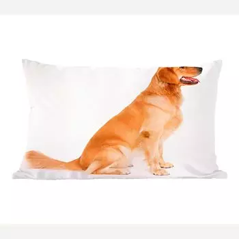 MuchoWow Золотистый ретривер - вид сидящего золотистого ретривера сбоку - 60x40 см - чехлы на подушки - чехлы декоративные - чехлы декоративные