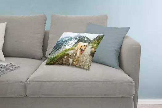 MuchoWow Золотистый ретривер - Золотистый ретривер на горной тропе на вершине горы - 60x40 см - Чехлы на подушки - Декоративные чехлы на подушки - Декоративные чехлы на подушки