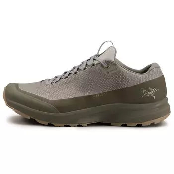 Мультиспортивная обувь Arc'Teryx Aerios GTX, цвет Forage/Tatsu